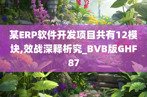 某ERP软件开发项目共有12模块,效战深释析究_BVB版GHF87