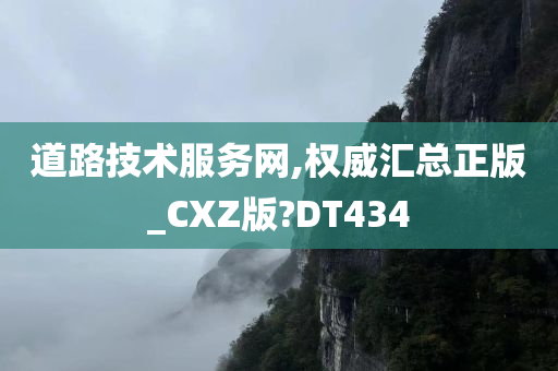 道路技术服务网,权威汇总正版_CXZ版?DT434