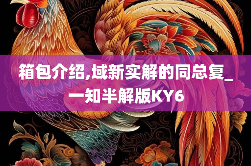 箱包介绍,域新实解的同总复_一知半解版KY6