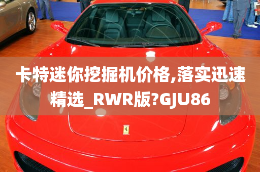 卡特迷你挖掘机价格,落实迅速精选_RWR版?GJU86