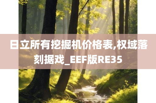 日立所有挖掘机价格表,权域落刻据戏_EEF版RE35