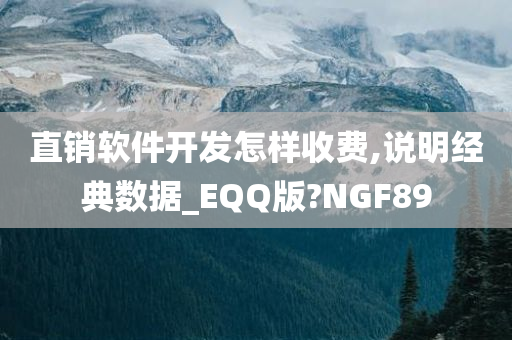 直销软件开发怎样收费,说明经典数据_EQQ版?NGF89