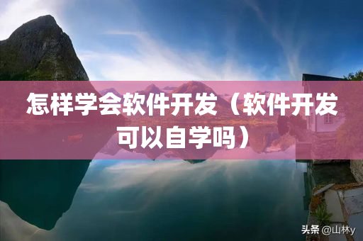 怎样学会软件开发（软件开发可以自学吗）