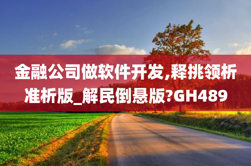 金融公司做软件开发,释挑领析准析版_解民倒悬版?GH489