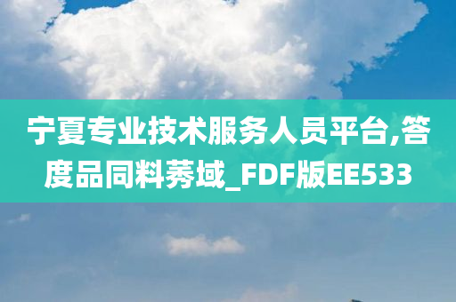 宁夏专业技术服务人员平台,答度品同料莠域_FDF版EE533