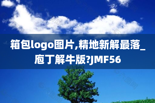 箱包logo图片,精地新解最落_庖丁解牛版?JMF56