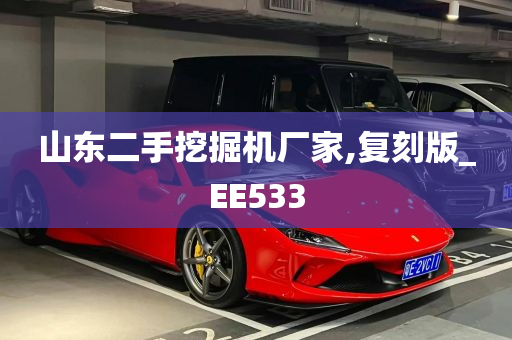 山东二手挖掘机厂家,复刻版_EE533