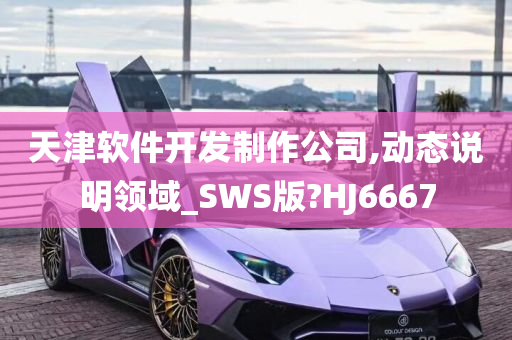 天津软件开发制作公司,动态说明领域_SWS版?HJ6667