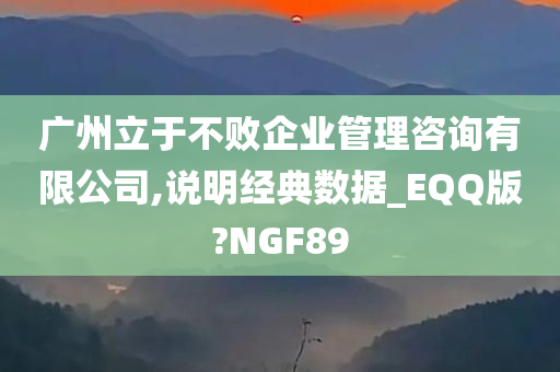 广州立于不败企业管理咨询有限公司,说明经典数据_EQQ版?NGF89