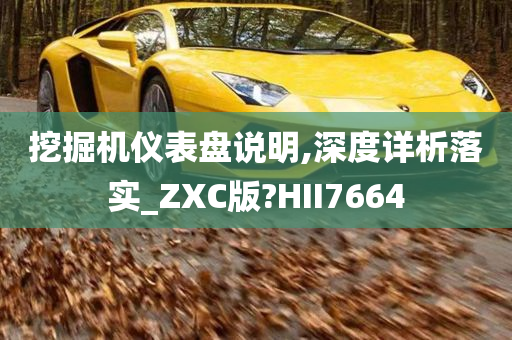 挖掘机仪表盘说明,深度详析落实_ZXC版?HII7664