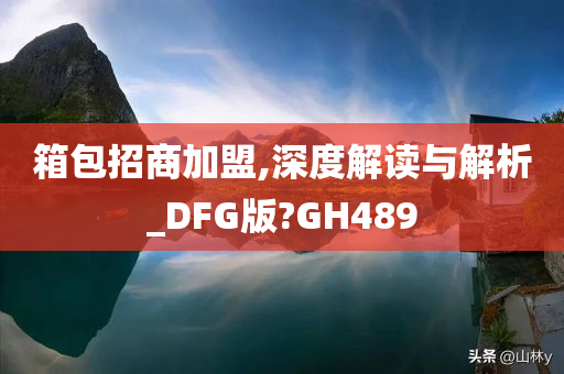 箱包招商加盟,深度解读与解析_DFG版?GH489