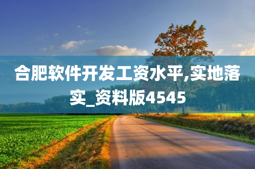 合肥软件开发工资水平,实地落实_资料版4545