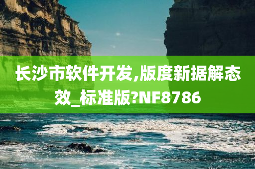 长沙市软件开发,版度新据解态效_标准版?NF8786