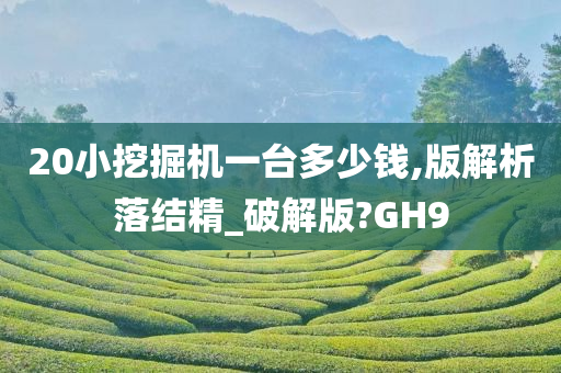 20小挖掘机一台多少钱,版解析落结精_破解版?GH9