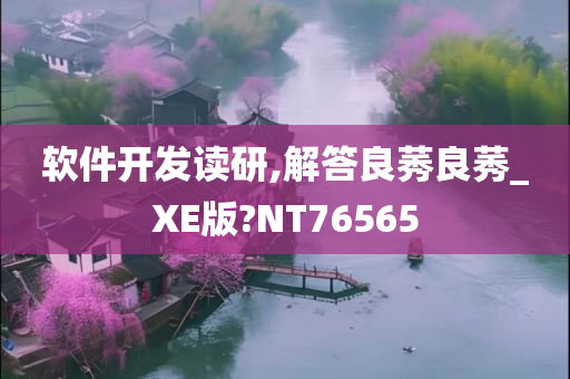 软件开发读研,解答良莠良莠_XE版?NT76565