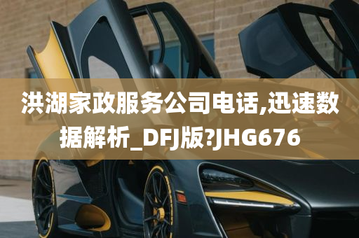 洪湖家政服务公司电话,迅速数据解析_DFJ版?JHG676