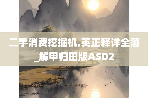 二手消费挖掘机,英正释详全落_解甲归田版ASD2