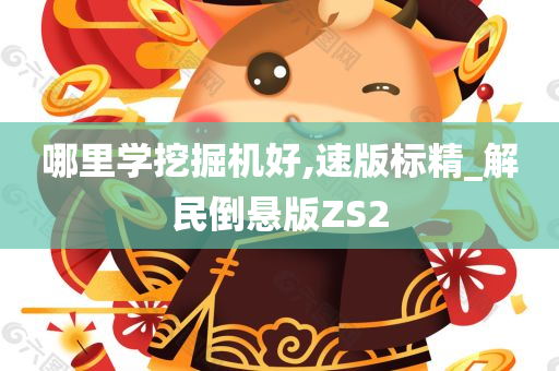 哪里学挖掘机好,速版标精_解民倒悬版ZS2