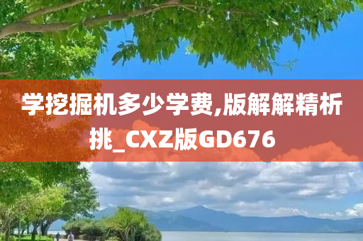 学挖掘机多少学费,版解解精析挑_CXZ版GD676