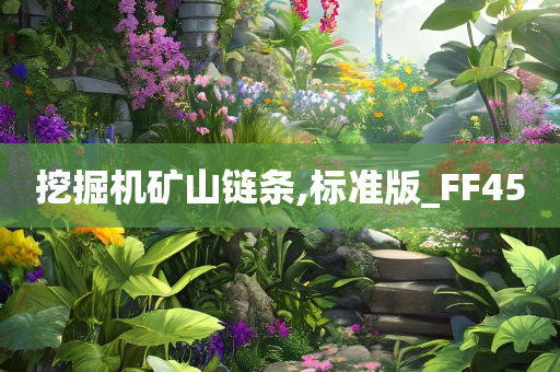 挖掘机矿山链条,标准版_FF45