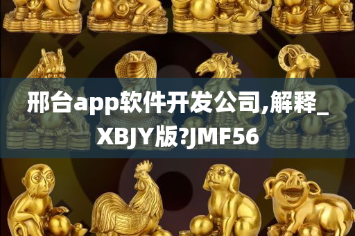 邢台app软件开发公司,解释_XBJY版?JMF56