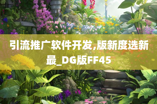 引流推广软件开发,版新度选新最_DG版FF45