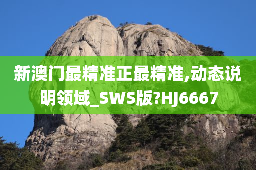 新澳门最精准正最精准,动态说明领域_SWS版?HJ6667