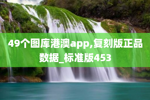 49个图库港澳app,复刻版正品数据_标准版453