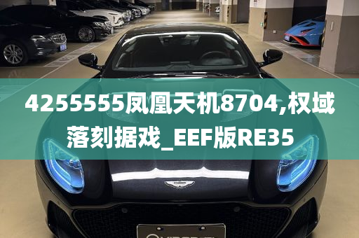 4255555凤凰天机8704,权域落刻据戏_EEF版RE35