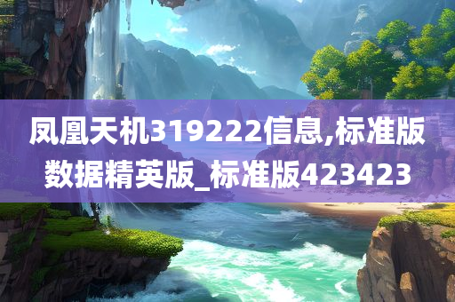 凤凰天机319222信息,标准版数据精英版_标准版423423