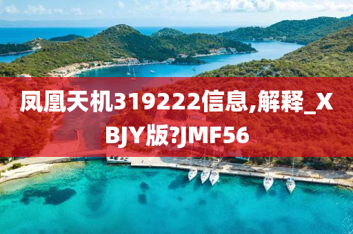 凤凰天机319222信息,解释_XBJY版?JMF56