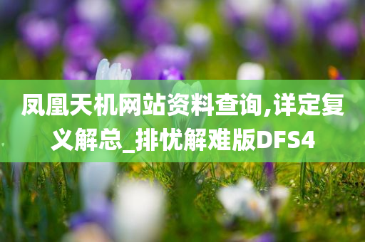 凤凰天机网站资料查询,详定复义解总_排忧解难版DFS4