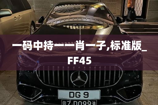 一码中持一一肖一子,标准版_FF45