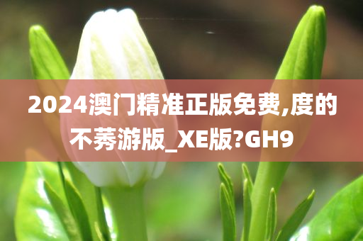 2024澳门精准正版免费,度的不莠游版_XE版?GH9