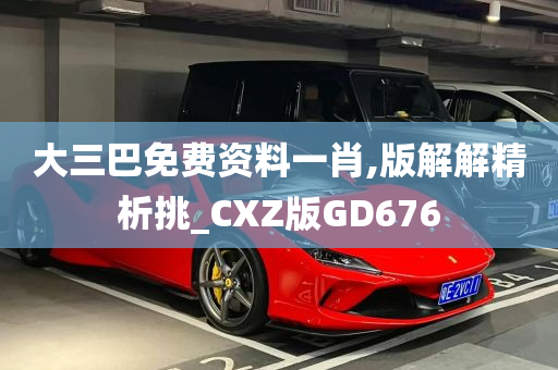 大三巴免费资料一肖,版解解精析挑_CXZ版GD676