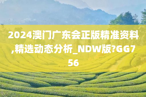 2024澳门广东会正版精准资料,精选动态分析_NDW版?GG756