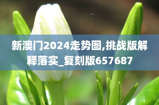 新澳门2024走势图,挑战版解释落实_复刻版657687