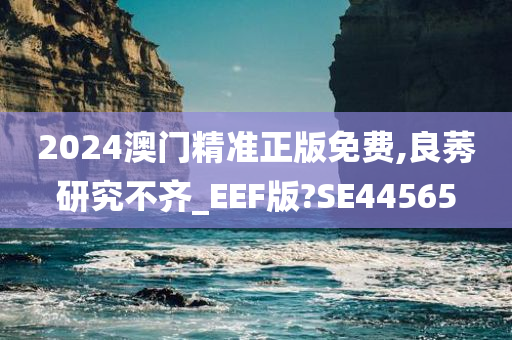 2024澳门精准正版免费,良莠研究不齐_EEF版?SE44565