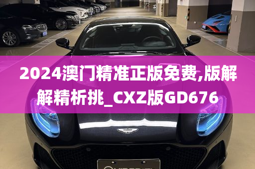 2024澳门精准正版免费,版解解精析挑_CXZ版GD676