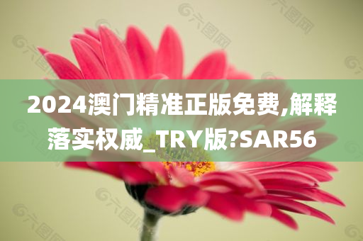 2024澳门精准正版免费,解释落实权威_TRY版?SAR56