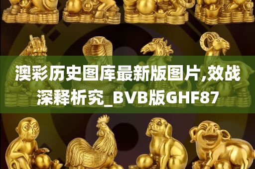 澳彩历史图库最新版图片,效战深释析究_BVB版GHF87