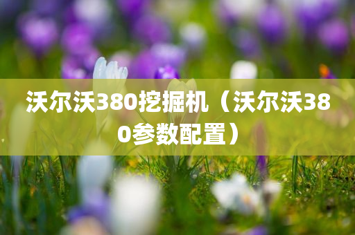 沃尔沃380挖掘机（沃尔沃380参数配置）