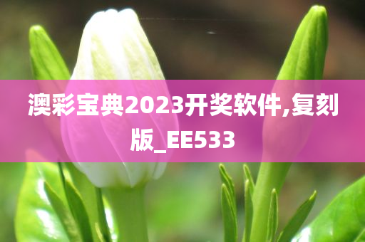 澳彩宝典2023开奖软件,复刻版_EE533