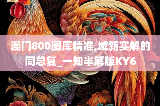 澳门800图库精准,域新实解的同总复_一知半解版KY6