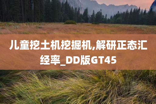 儿童挖土机挖掘机,解研正态汇经率_DD版GT45