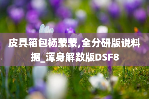 皮具箱包杨蒙蒙,全分研版说料据_浑身解数版DSF8