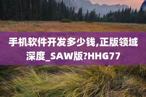 手机软件开发多少钱,正版领域深度_SAW版?HHG77