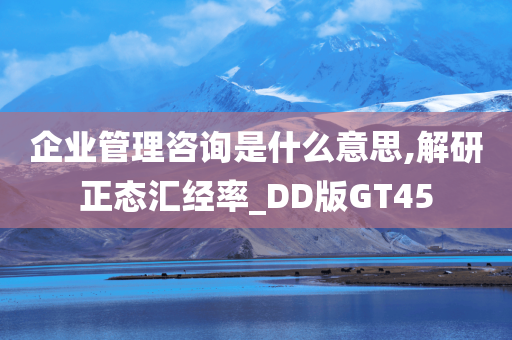 企业管理咨询是什么意思,解研正态汇经率_DD版GT45