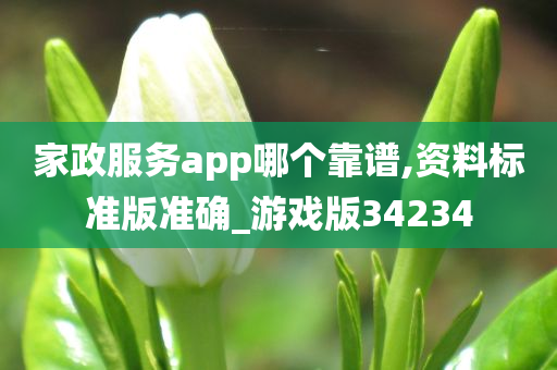 家政服务app哪个靠谱,资料标准版准确_游戏版34234