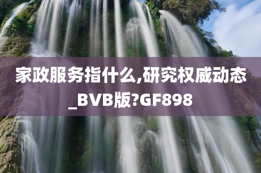 家政服务指什么,研究权威动态_BVB版?GF898